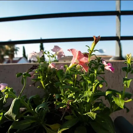 Cozy In Quiet Area In Engomi * نيقوسيا