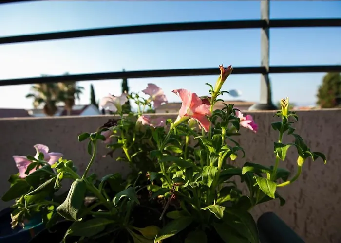 Cozy In Quiet Area In Engomi * ニコシア